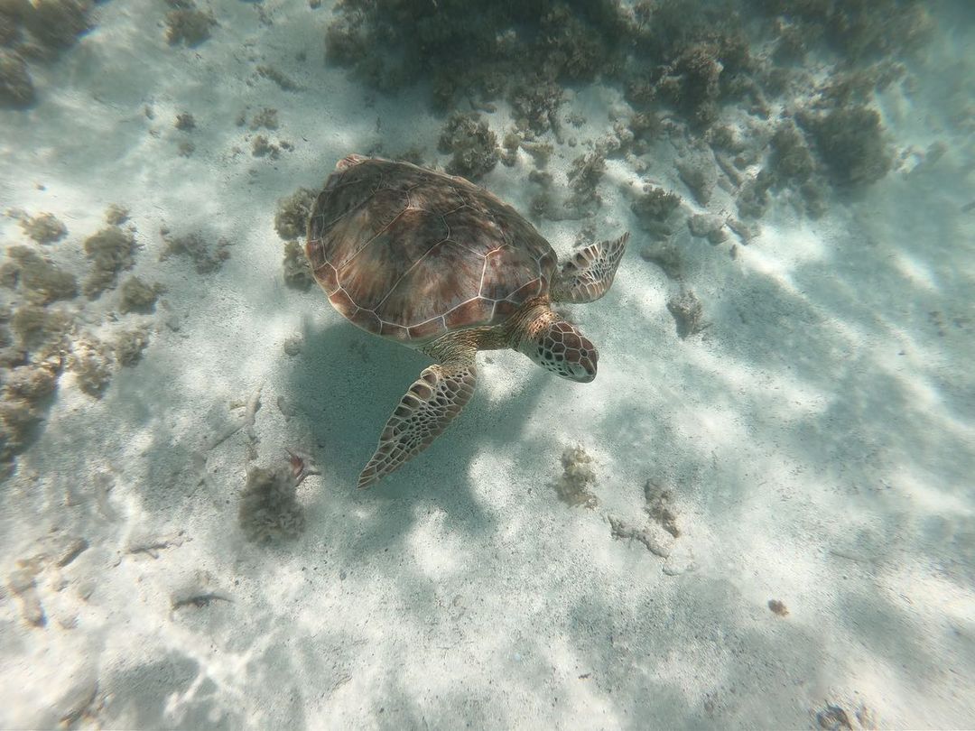 st bath @cloboiss credit st bath @cloboiss credit