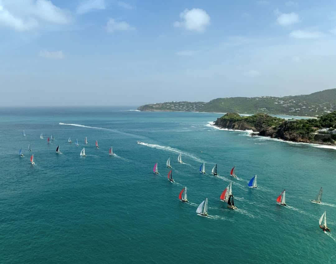 📸 @stbarth.pictures catacup 📸 @stbarth.pictures